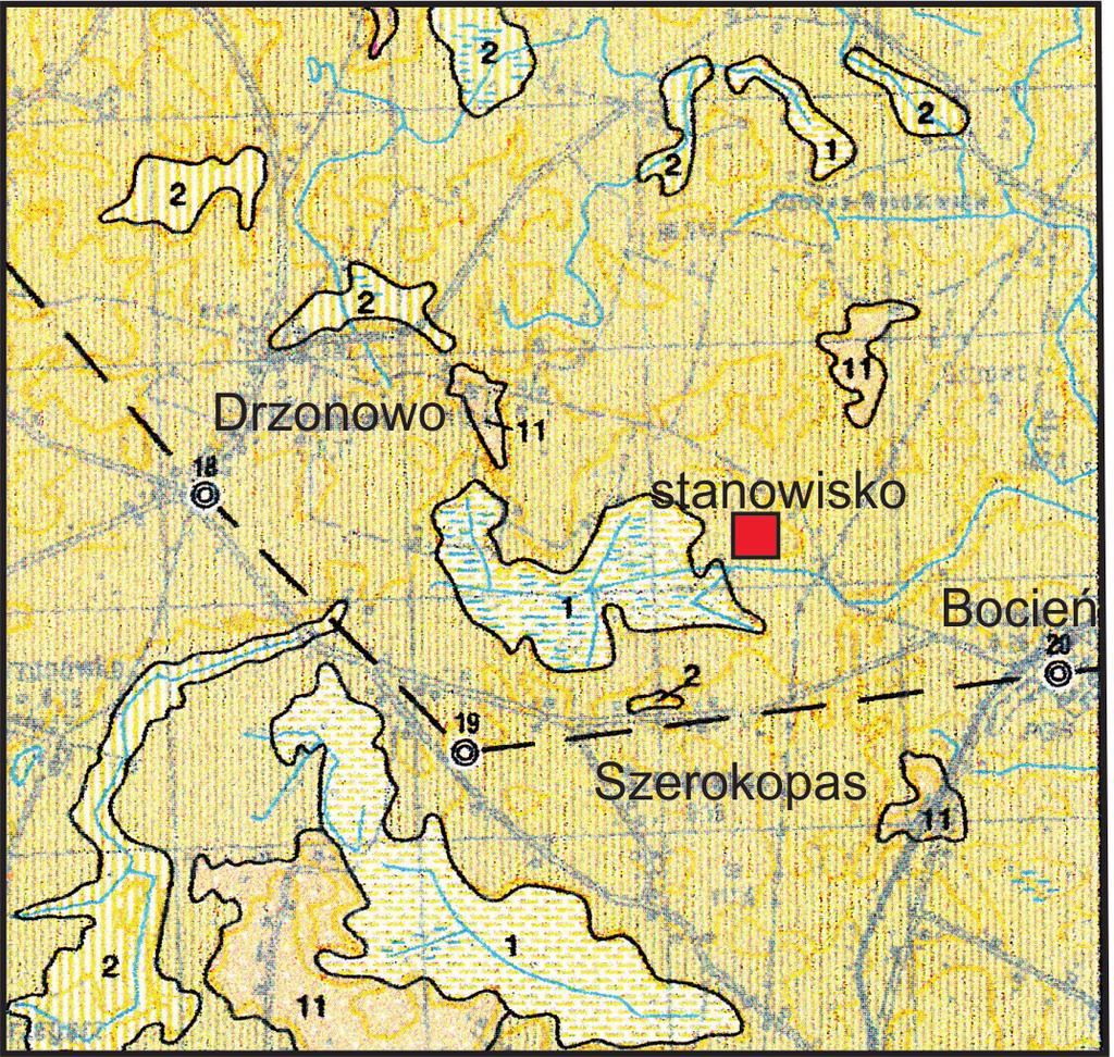 [195] Ryc. 1. Bocień, gm. Chełmża, stanowisko 5. Położenie obszaru badań na tle fragmentu mapy geologicznej Polski (wg Trzepla, Drozd 2006).