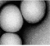 elektronikê a do medycyny molekularnej. Rysunek 4. Figure 4.