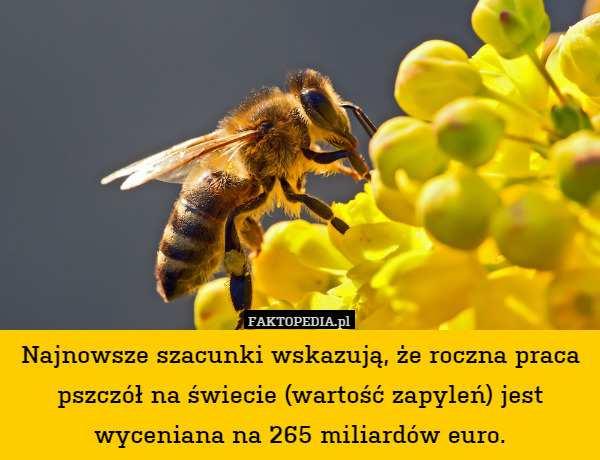 Pszczoła miodna Apis mellifera 91 Przemysław Grodzicki Cykl życiowy