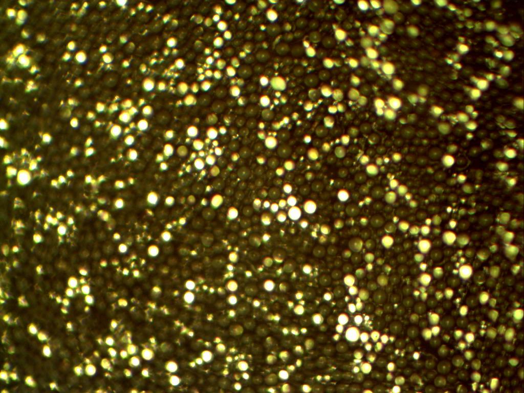 3 Microscopic view of surface of retroreflective accessories made of micro-spheres foil, meeting and not meeting the requirements of standard in scope of retroreflection. Rys.