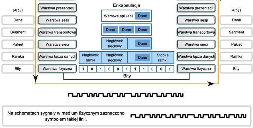 Protokoły i usługi warstwy fizycznej Opisz rolę bitów w