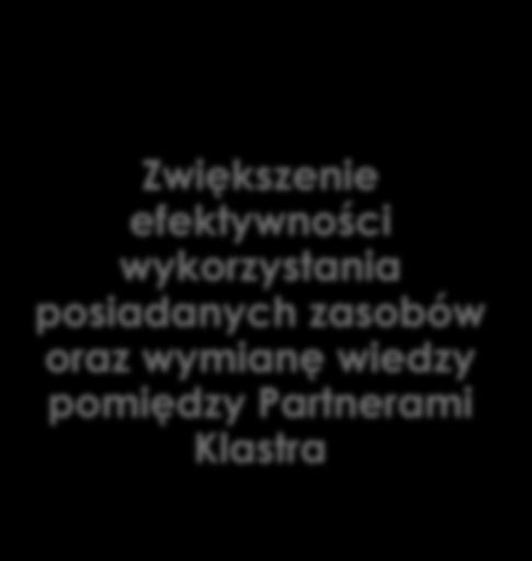 efektywności wykorzystania