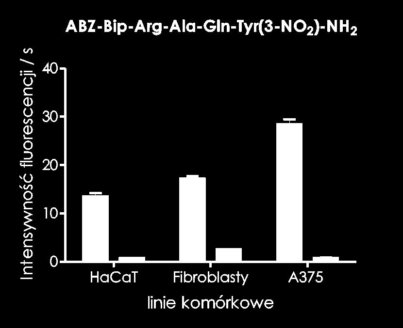 RYSUNEK 5: Aktywność katepsyny L w lizatach linii komórkowych: keratynocytów (HaCaT), fibroblastów oraz czerniaka (A375) białe słupki.