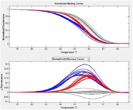 Rysunek 5 Analiza krzywej topnienia produktu reakcji PCR zależność pochodnej zmiany fluorescencji danego SNP od temperatury.