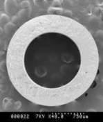 Moduły mikrofiltracyjne Pall Microza Jednorodna ( symetryczna ) membrana PVDF 5 Wysoka odporność chemiczna na środki myjące i sanityzujące Wysoka odporność mechaniczna