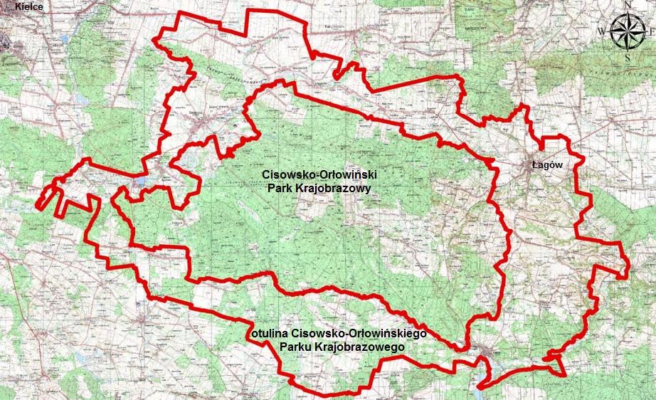 Białe Ługi utworzony został dla ochrony i zachowania naturalnego kompleksu torfowisk różnych typów i w różnych stadiach rozwojowych, z cennymi zespołami roślinności bagiennej.