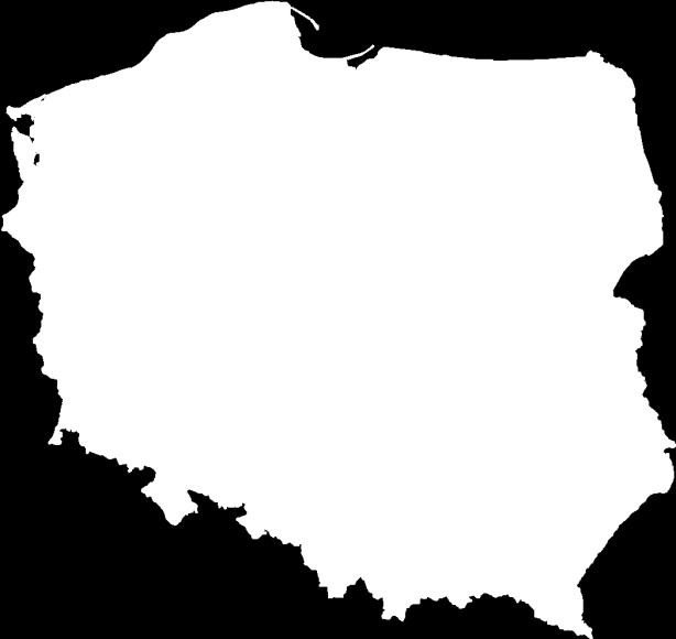 programu sprzedaży aut używanych. 40,0 Przychody Ivopol vs flota samochodów Spółki 900 KOSZALIN GDAŃSK OLSZTYN Ekspansja geograficzna RentaCarDirect.