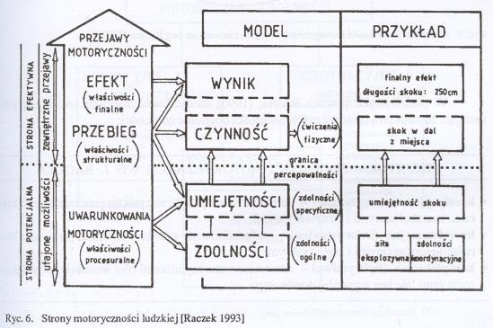 Funkcje kultury fizycznej motoryczności. 1. Orientacyjna w otaczającym nas środowisku 2. Eksploracyjna poprzez ruch poznajemy środowisko 3. Lokomocyjna (transportowa) 4.