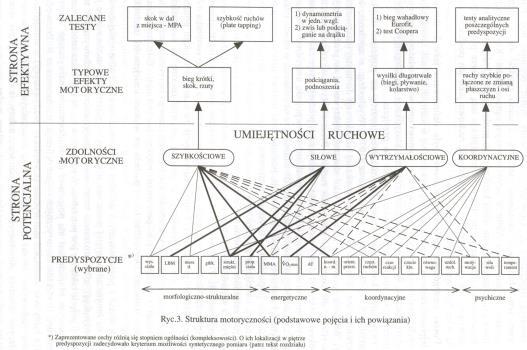Strona potencjalna zdolności motoryczne i umiejętności ruchowe zdolność motoryczna - teoretyczny konstrukt charakteryzujący kompleks względnie utrwalonych i uogólnionych indywidualnych właściwości