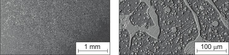 The microstructures in the corrosion products areas at a distance of ca. 3.0 mm from steel (X2CrNi 19-12). The rest of austenite γ grains, areas are tin-rich, phase (a), (b). SEM Rys. 6.