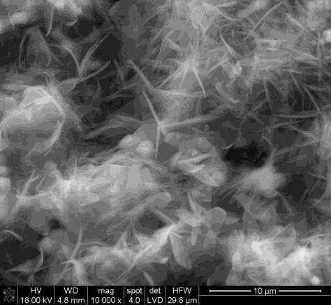 MICROSTRUCTURE OF AAC FLUIDIZED