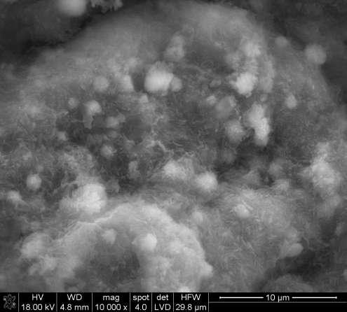 MICROSTRUCTURE OF AAC FLUIDIZED COMBUSTION ASH