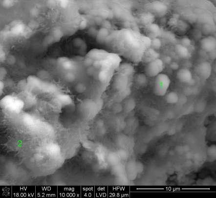 MICROSTRUCTURE OF AAC FLUIDIZED