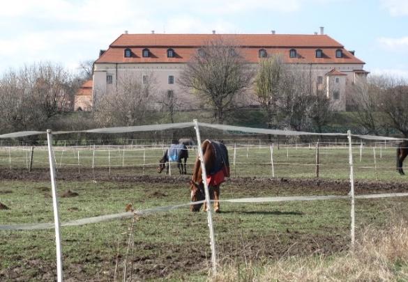 Trybuny przed padokiem sąsiadujące z Zamkiem Królewskim.