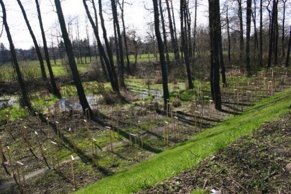 Rysunek 45. Tereny biologicznie-czynne, sąsiadujące z dworcem.