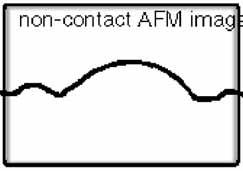 AFM - Mikroskopia Sił Atomowych 2.