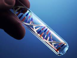 i rozdział DNA -