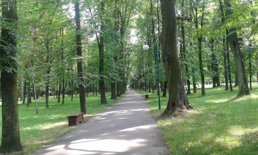 30 Teren badań Park Miejski im. Tarnowskich zajmuje powierzchnię 24 ha i jest położony w zurbanizowanej części Końskich (gm. Końskie, woj. świętokrzyskie).