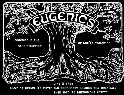 } Eugenika } program poprawy puli genowej populacji } XIX do