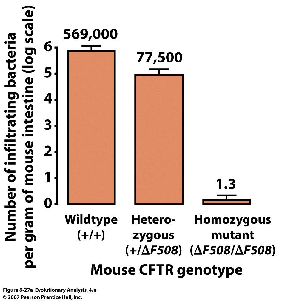 Przykłady u człowieka } Anemia sierpowata (w obszarach