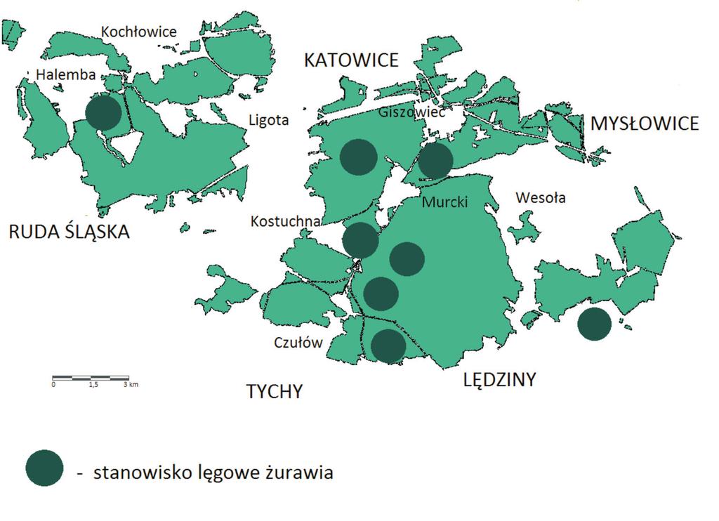 Rycina 1. Rozmieszczenie stanowisk lęgowych żurawia Grus grus na skontrolowanym fragmencie Nadleśnictwa Katowice Figure 1.