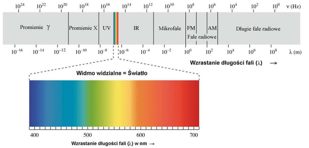 Zobrazowania