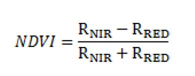 Współczynnik NDVI NDVI (ang. Normalized Difference Vegetation Index) to znormalizowany wskaźnik zieleni. Znajduje on zastosowanie w badaniu kondycji roślinności.