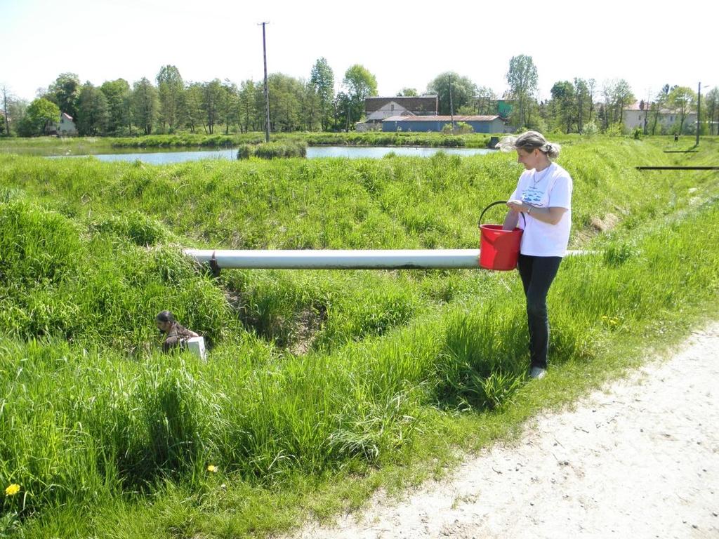 Uniwersytet Rolniczy, Wydział