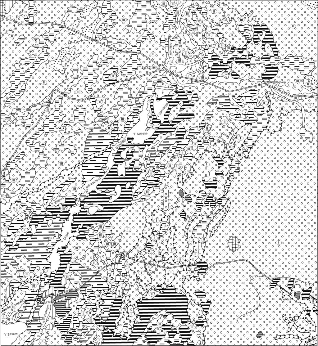 15o45 52o 30 Tablica I 16o00 III III 52o 30 j. III Objaśnienia do Szczegółowej Mapy Geologicznej Polski 1:50 000 Ark. Trzciel (467) I SZKIC GEOMORFOLOGICZNY III Pszczew Skala 1:100 000 Lewice III J.