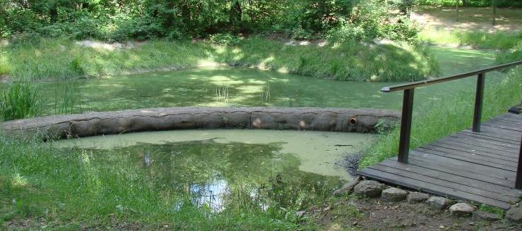 związków biogenicznych w ilości min.