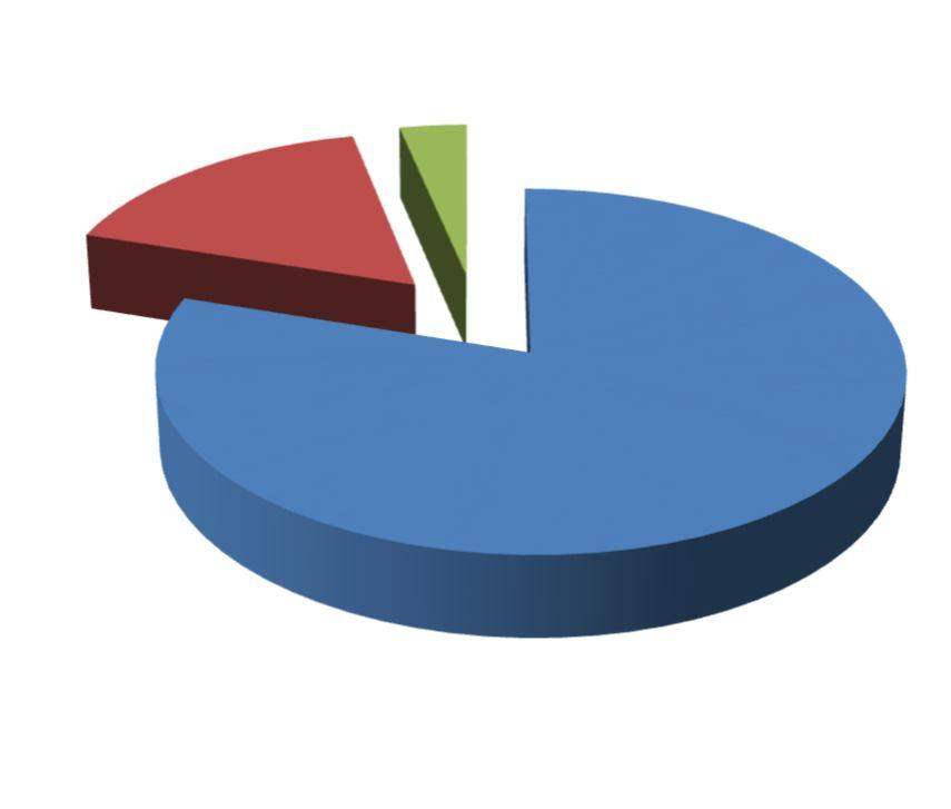 Jakie to były przedsiębiorstwa pod względem formy prawnej? 17% 3% 80% spółka z o.o. S.A.