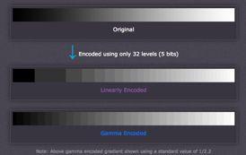 Kodowanie gamma (2) Wartości jasności zakodowane zgodnie z