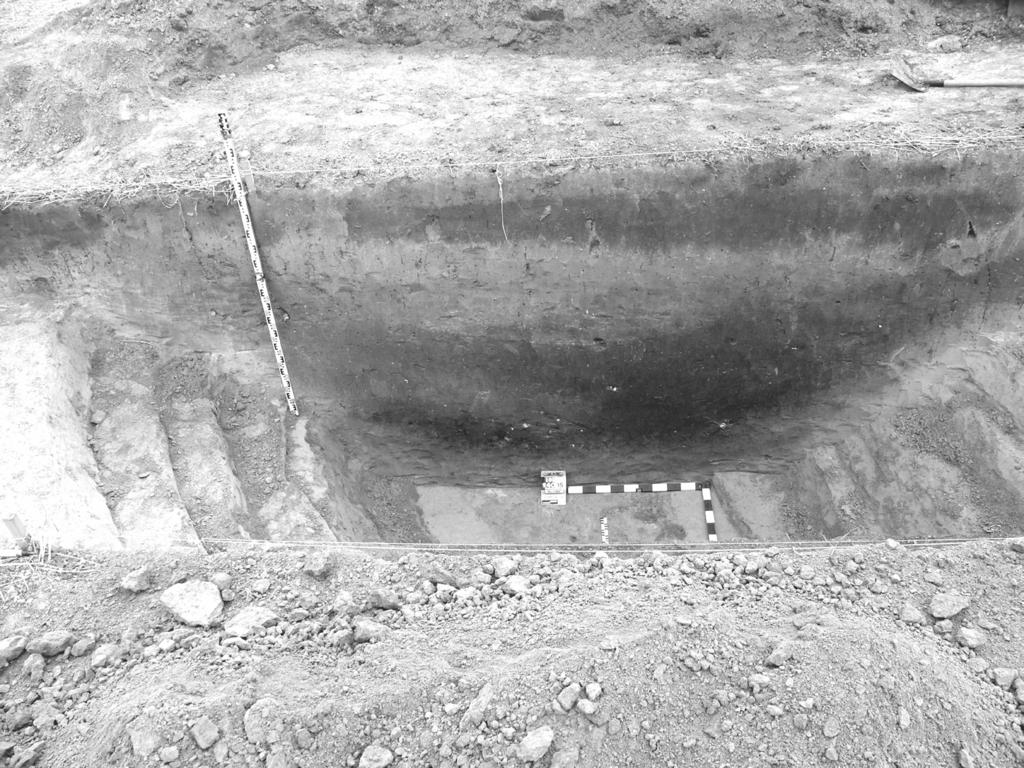 Results of excavations conducted on the stronghold at Damice... 331 Fig. 2. Stronghold at Damice.