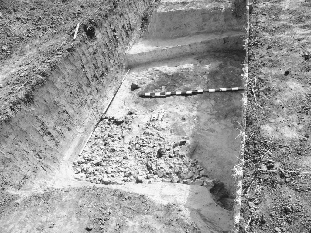 Results of excavations conducted on the stronghold at Damice... 333 Fig. 4. Stronghold at Damice.