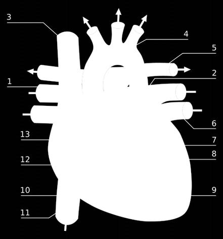 Przesunięcie pasma przez mieszanie (down mixing) j t K =RF e =I jq, czyli I =RF cos t Q= RF sin t 2.