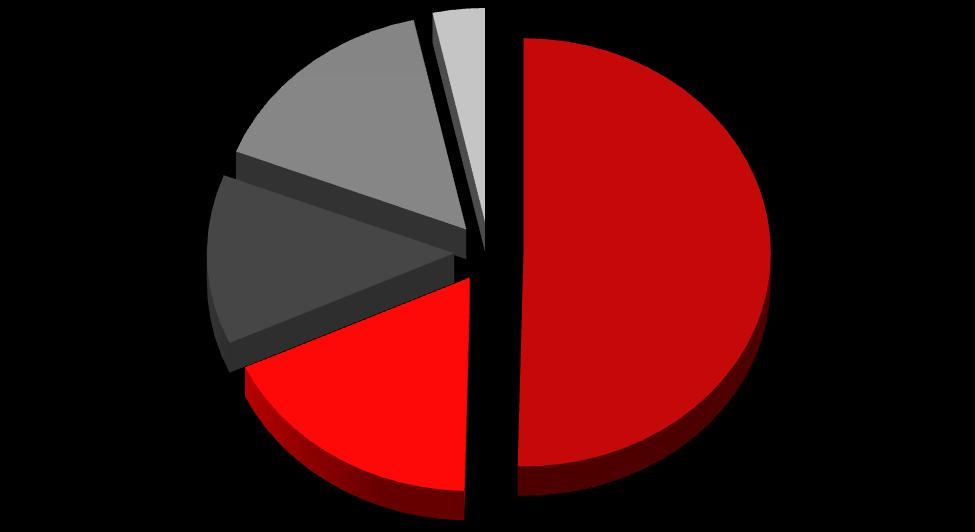 Tabela 11 Przychody Spółki Telemedycyna Polska S.A. za I kwartał 2015 roku w porównaniu do I kwartału 2014 roku Przychody Spółki (tys.