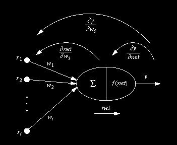 Perceptron Dendrites Axon Cell Body Synapse I.