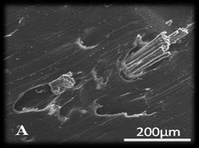 Nova Nano SEM