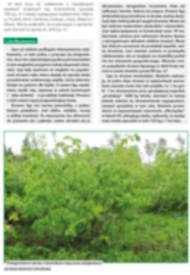 Silviculture Silviculture SMALL-LEAVED LIME AND ITS