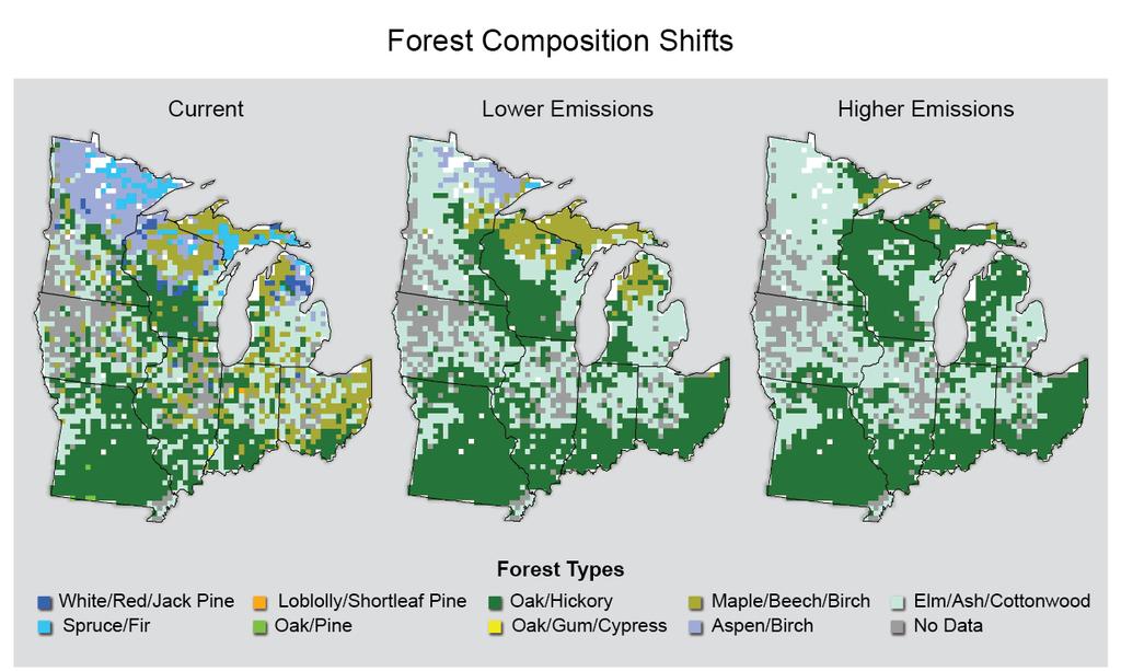 Zmiany w zasięgu różnych typów lasu w pn.-wsch.