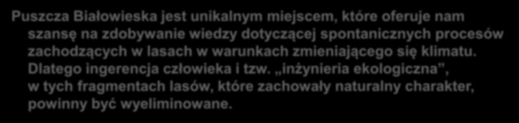 W ostatnim tysiącleciu liczebność populacji świerka w Puszczy Białowieskiej podlegała długo- i krótkookresowym, znaczącym fluktuacjom, z których część była zapewne skutkiem gradacji kornika.