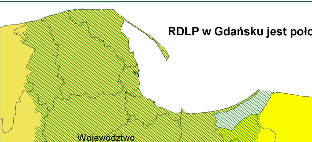 RDLP w Gdańsku