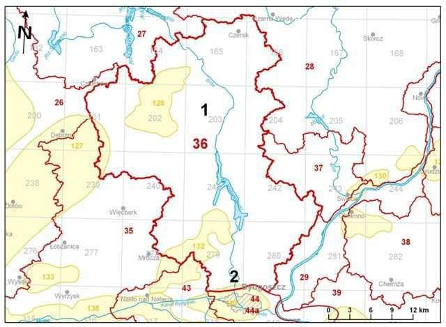 Lokalizacja JCWPd 36 Schemat przepływu wód podziemnych