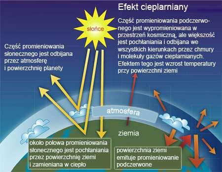 EFEKT CIEPLARNIANY Przyczyną efektu cieplarnianego jest nadmierne gromadzenie się gazów cieplarnianych w atmosferze Ziemi, Jest to spowodowane dużym rozwojem przemysłu, spalaniem paliw kopalnych,