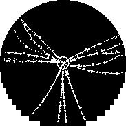 hadrons (hadronizacja kwarków) Jety produkują