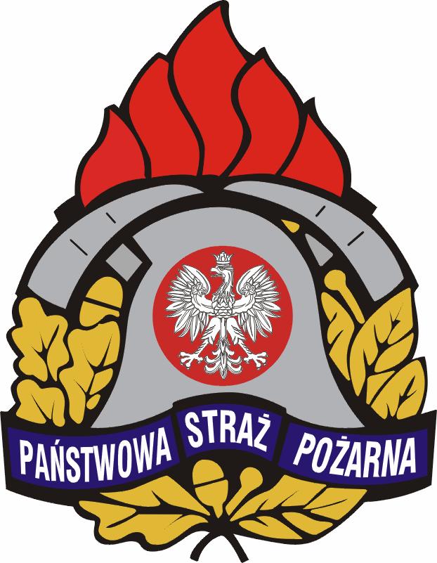 KOMENDA MIEJSKA PAŃSTWOWEJ STRAŻY POŻARNEJ W NOWYM SĄCZU ANALIZA DZIAŁAŃ RATOWNICZO-GAŚNICZYCH Komendy