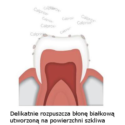 Pasta została dokładnie opisana w książce dr L.Wagnera Wybielanie zębów żywych.