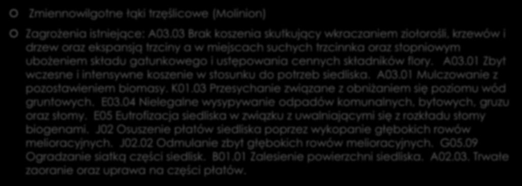 c.d. Zmiennowilgotne łąki trzęślicowe (Molinion) Zagrożenia istniejące: A03.