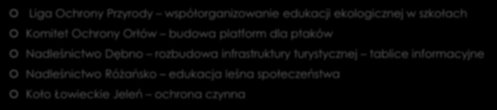 Jakie organizacje pozarządowe/instytucje publiczne/firmy podejmują działania na rzecz ochrony obszaru Natura 2000 na terenie gminy/gmin, na których przeprowadzane jest badanie?