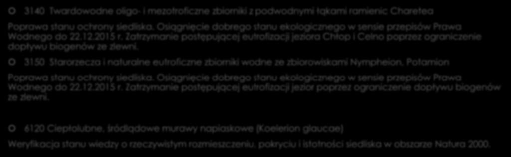 Jakie cele działań ochronnych zostały wyznaczone w Planie zadań ochronnych dla badanego obszaru?